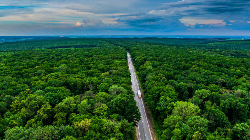 Aerial view of white semi truck driving through green lush wooded area.