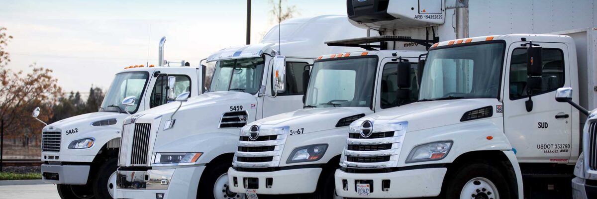 How-to-Determine-the-Best-Rental-Truck-for-Your-Needs-Suppose-U-Drive Row of a variety of white commercial trucks