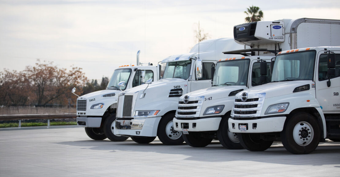 Row of various white commercial trucks