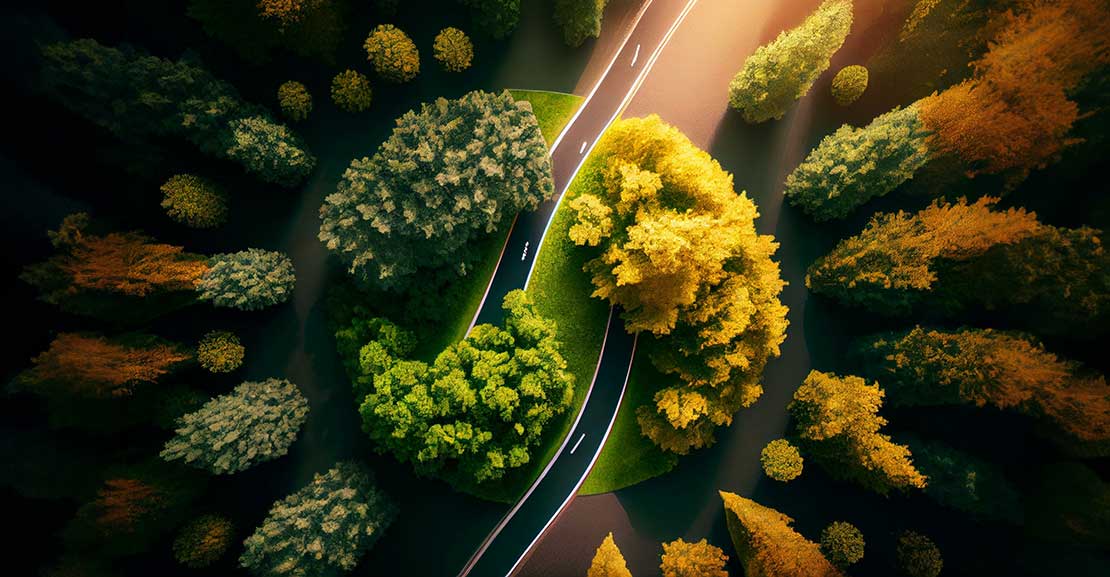 Top View of Road in Green Season, forming a Yin Yang shape, symbolizing environmental and Business Growth Together.